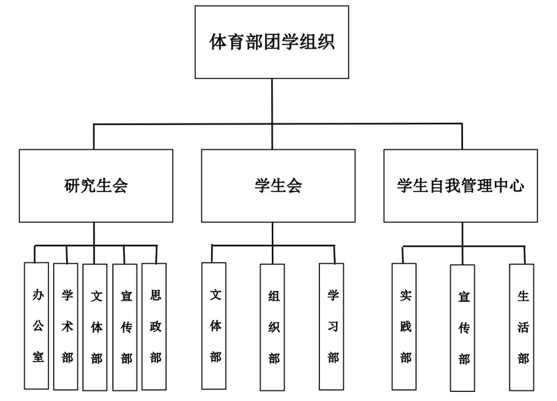 球速体育指定入口