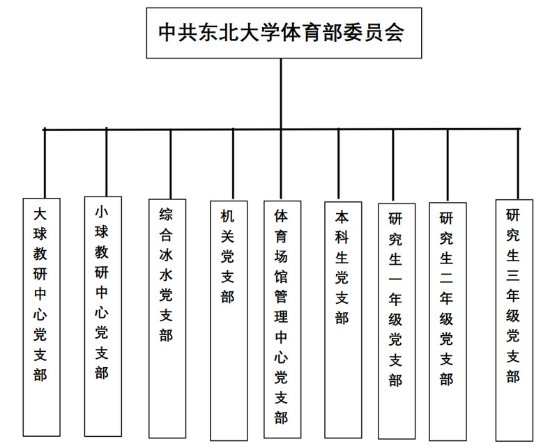 球速体育客户端