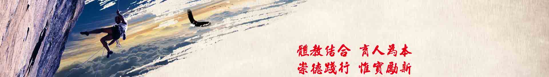 球速体育直播